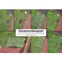 Hybrid Grass Kit 100x100cm